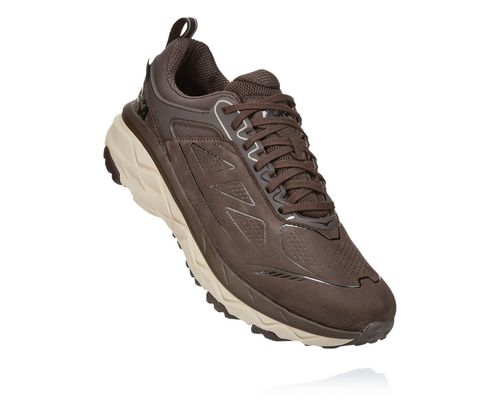 Hoka One One Herre Challenger Low Gore-tex Trail Løpesko Demitasse Norge-75JFU